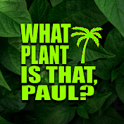 What Plant is that, Paul?