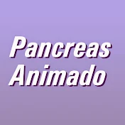 Pancreas Animado