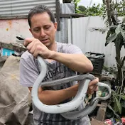 JASON ARNOLD - SNAKE HANDLER