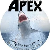 Apex Shark Expeditions