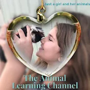 The Animal Learning Channel