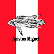 Apistos Miguel