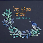 הזולה של חצרוני