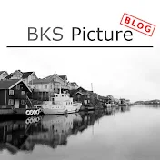 BlogBKSpicture