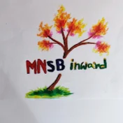 MNSB inward