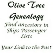 Olive Tree Genealogy