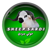 حولي صردي sheep sardi