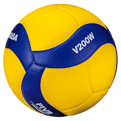 IlyaVolleyball