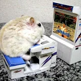 Tech Hamster