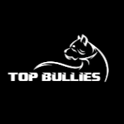 Top Bullies