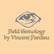 Field Gemology by Vincent Pardieu
