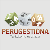 Perugestiona Consultora