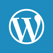 Wordpress Theme