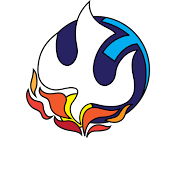 Shalom. TV