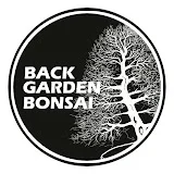 Back Garden Bonsai