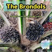 The Brondols
