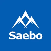 Saebo, Inc.