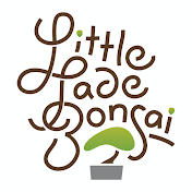 Little Jade Bonsai