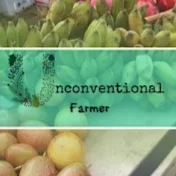 unconventional farmer