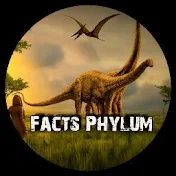 Facts Phylum