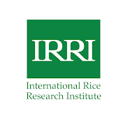 International Rice Research Institute