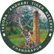 Tadoba 4K Live