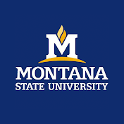 Montana State University