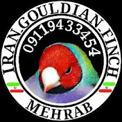 iran_gouldian_finch_mehrab