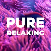 Pure Relaxing - Meditation Relax Vibes and Clips