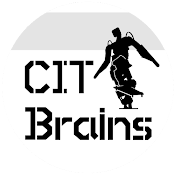 CIT Brains