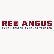Red Angus Association of America
