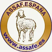 Assaf España