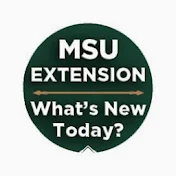 MSU Extension