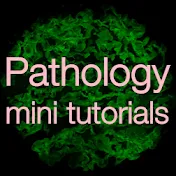 Pathology mini tutorials