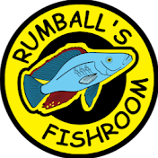 Rumball's Fishroom