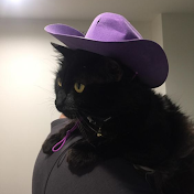 cowboycat