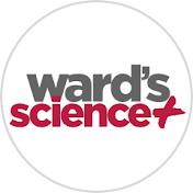 Ward's Science
