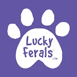 Lucky Ferals