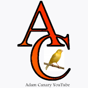 Adam Canary Youtube