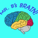 Mr. B's Brain