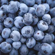 DiMeo Blueberry Farms