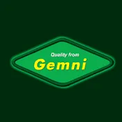 Gemni International