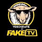 Video Fake TV