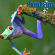 PondsInc