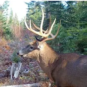 Maine Wildlife Trail Videos