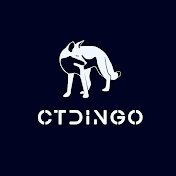 CTDingo