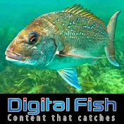 DIGITAL FISH - Content that catches