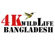 4K Wildlife Bangladesh