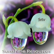 Sunshine Resources Srtv