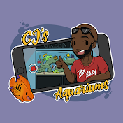 CJ'S AQUARIUMS